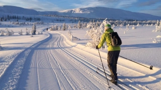 Tréninkový kemp Norsko 2027 / Ski test Salomon - Sjusjøen 13.3.-22.3.2027 / SP v biatlonu OSLO!!!